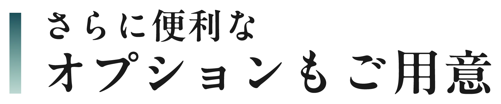 さらに便利なオプションもご用意