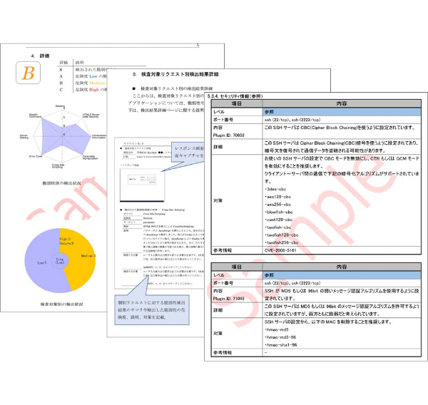 高品質な診断レポート