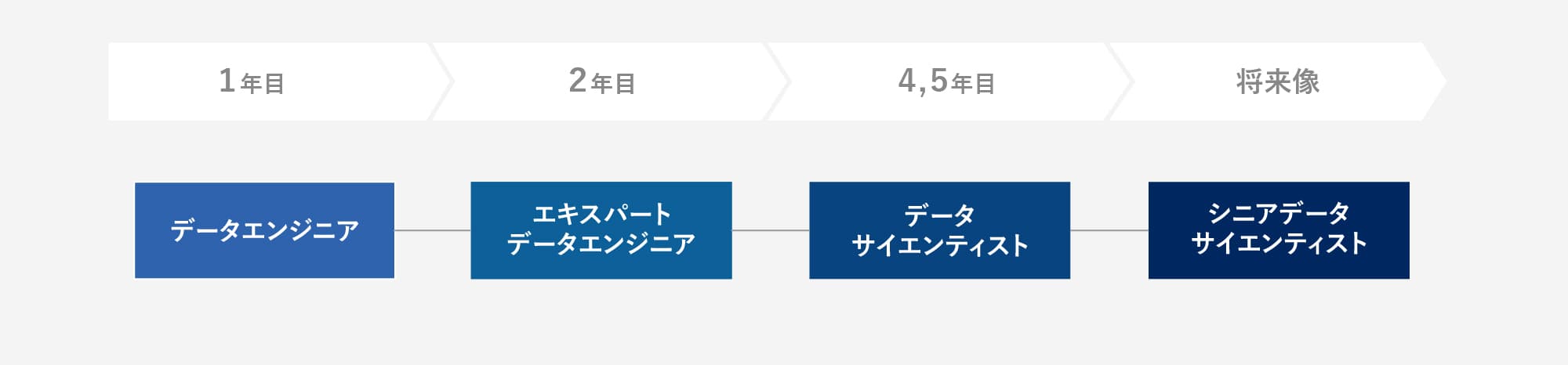 データサイエンティストのキャリアステップイメージ