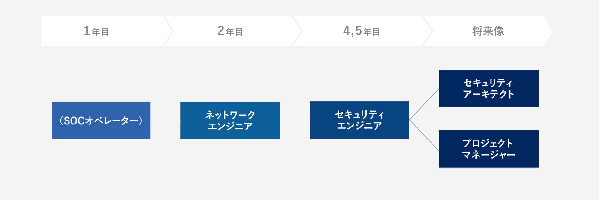 セキュリティエンジニアのキャリアステップイメージ