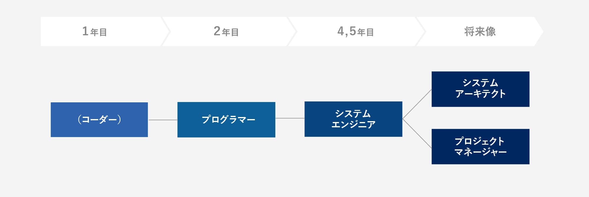 ソフトウェア開発者のキャリアステップイメージ